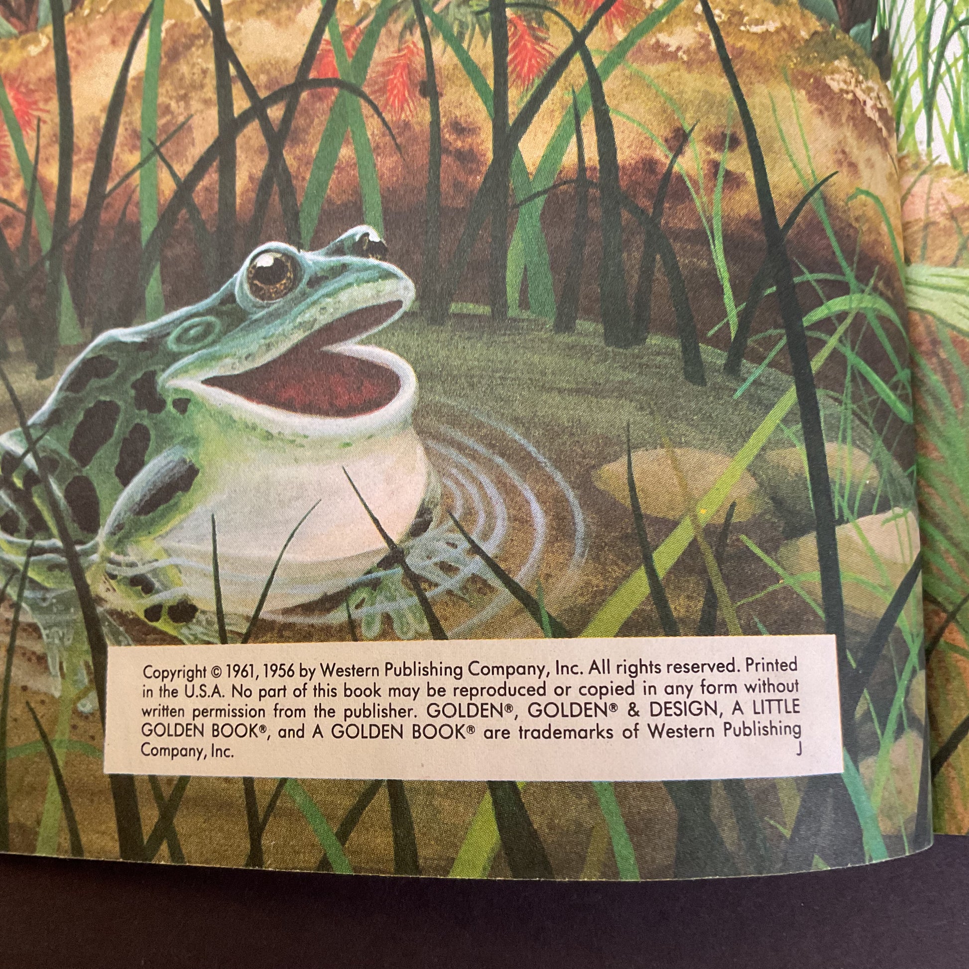 Home For A Bunny Vintage 1961 Hardcover Little Golden Book - Avid Vintage