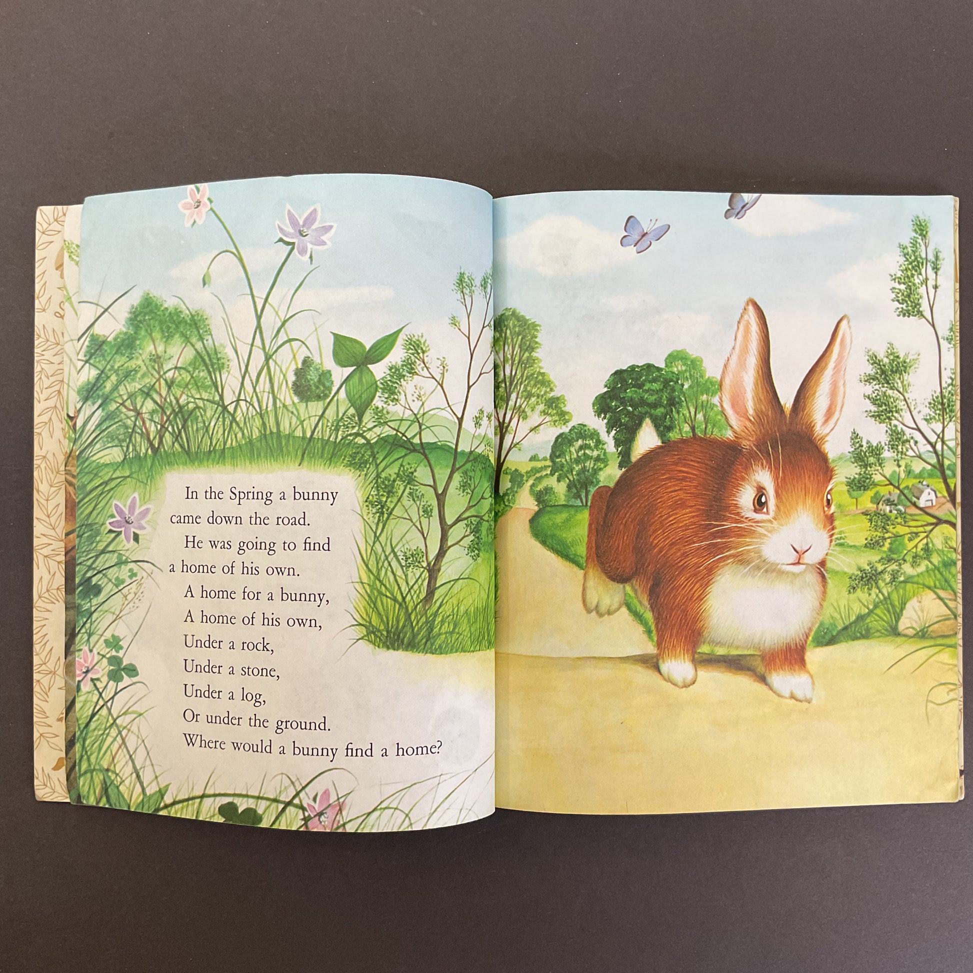 Home For A Bunny Vintage 1961 Hardcover Little Golden Book - Avid Vintage