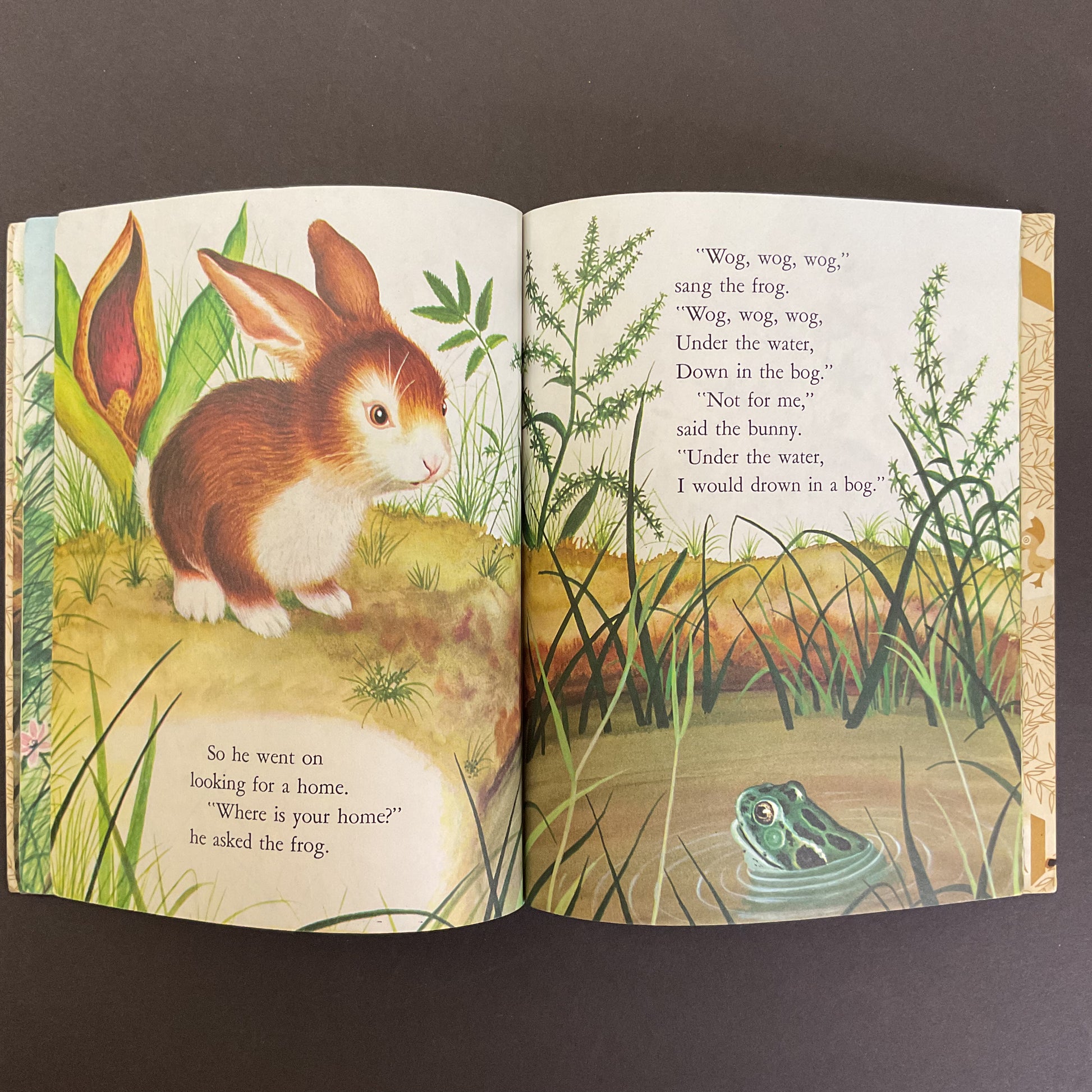 Home For A Bunny Vintage 1961 Hardcover Little Golden Book - Avid Vintage