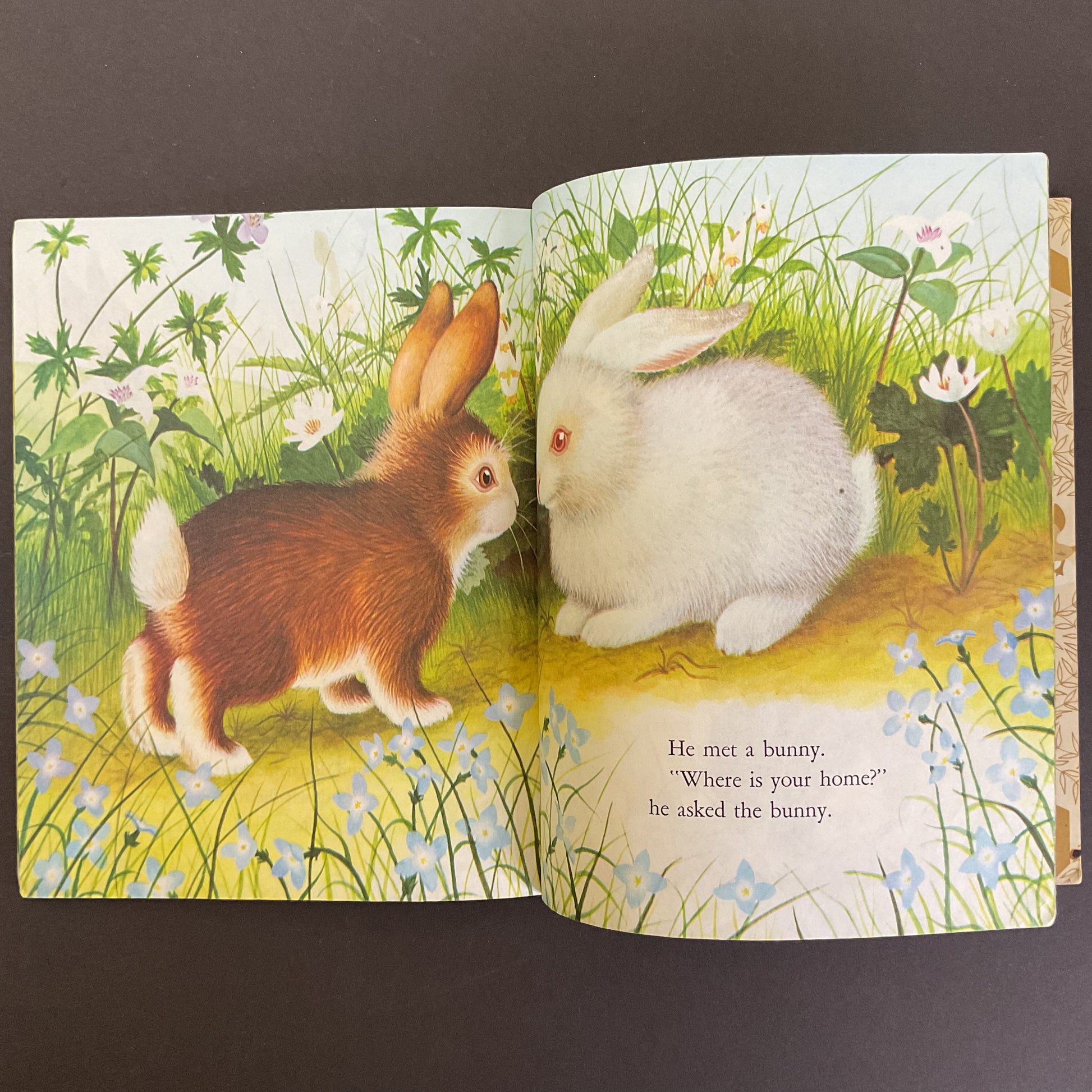 Home For A Bunny Vintage 1961 Hardcover Little Golden Book - Avid Vintage