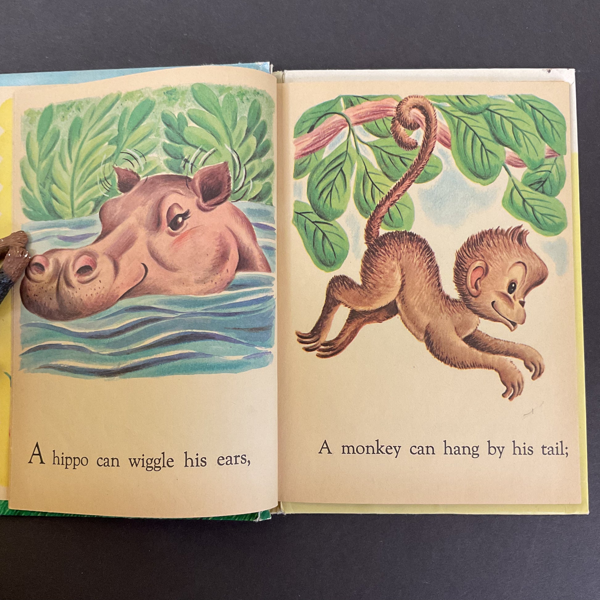 What Can I Do Vintage 1961 Hardcover Junior Elf Book - Avid Vintage