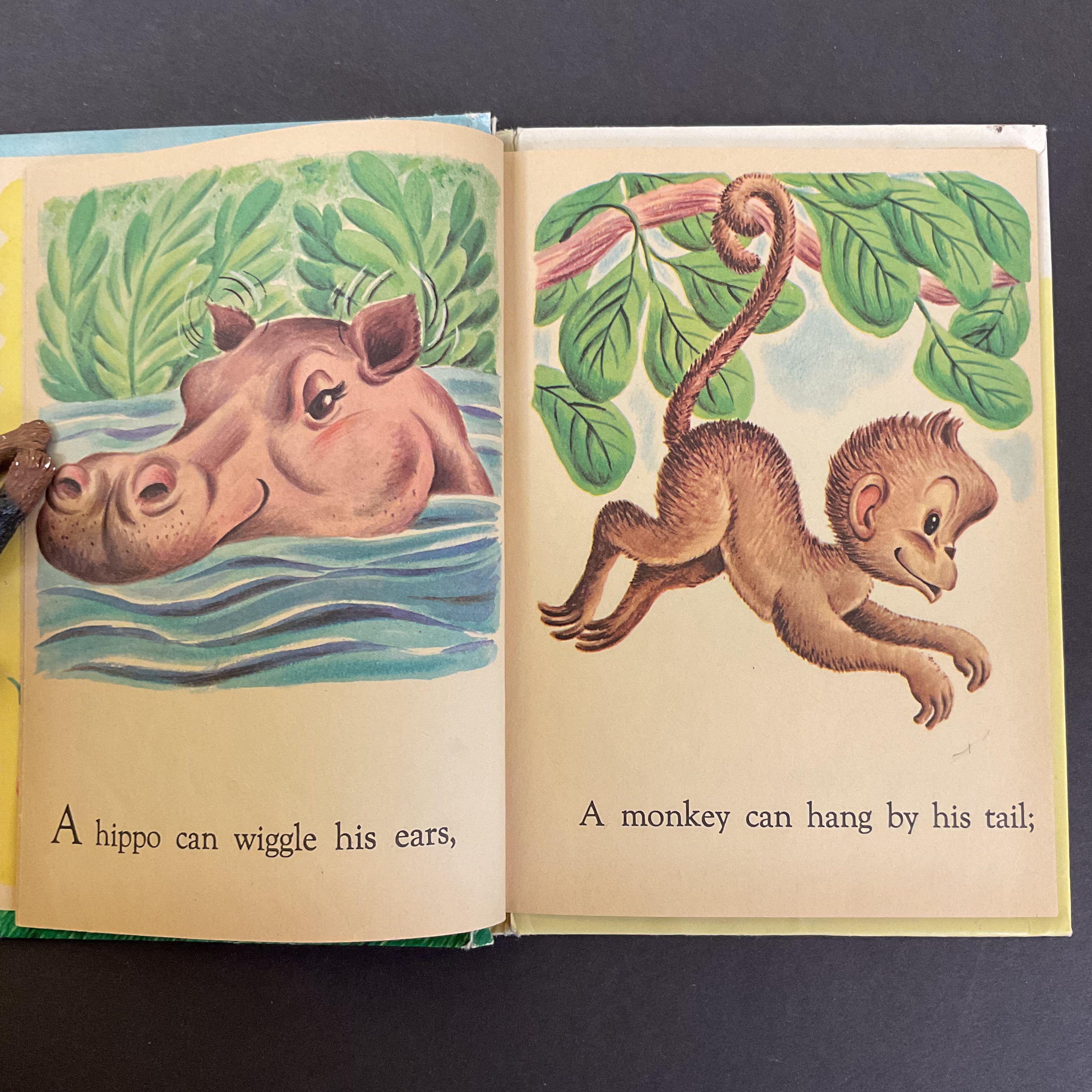 What Can I Do Vintage 1961 Hardcover Junior Elf Book - Avid Vintage