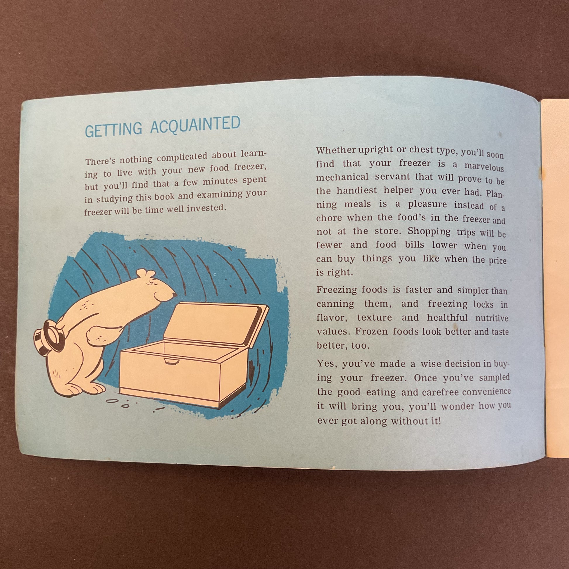Meet Your Friend the Freezer 1950s Instruction Booklet - Avid Vintage