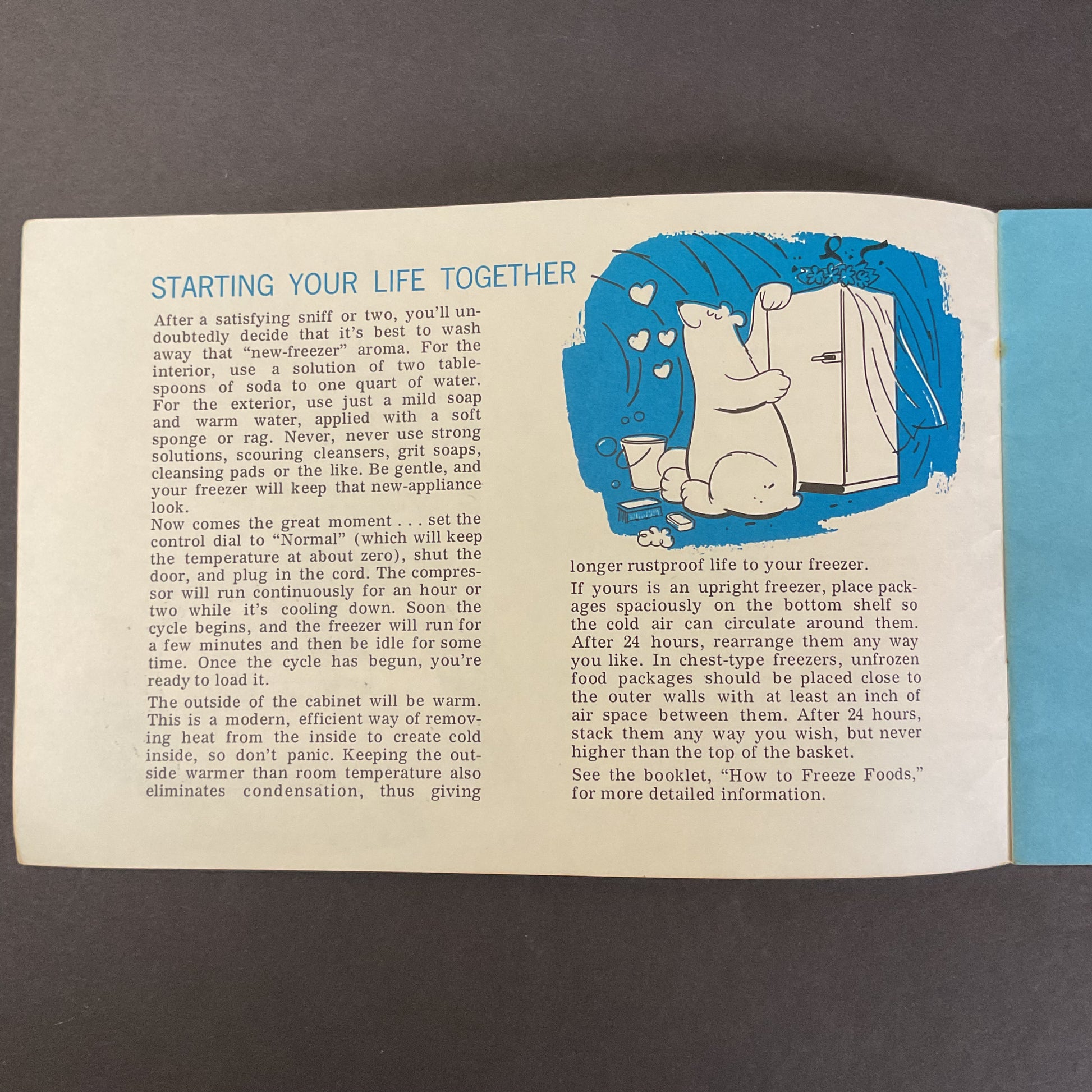 Meet Your Friend the Freezer 1950s Instruction Booklet - Avid Vintage