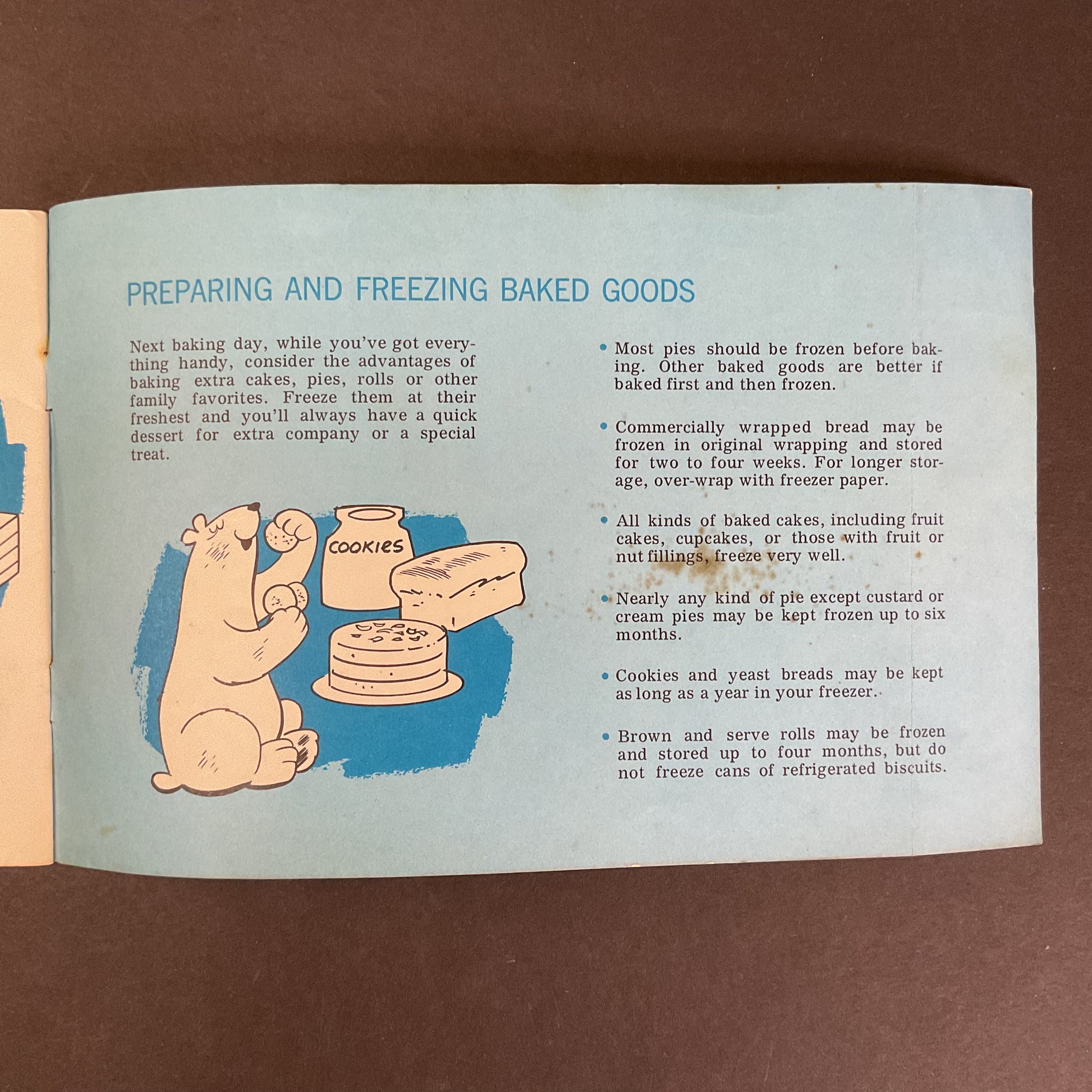 Meet Your Friend the Freezer 1950s Instruction Booklet - Avid Vintage