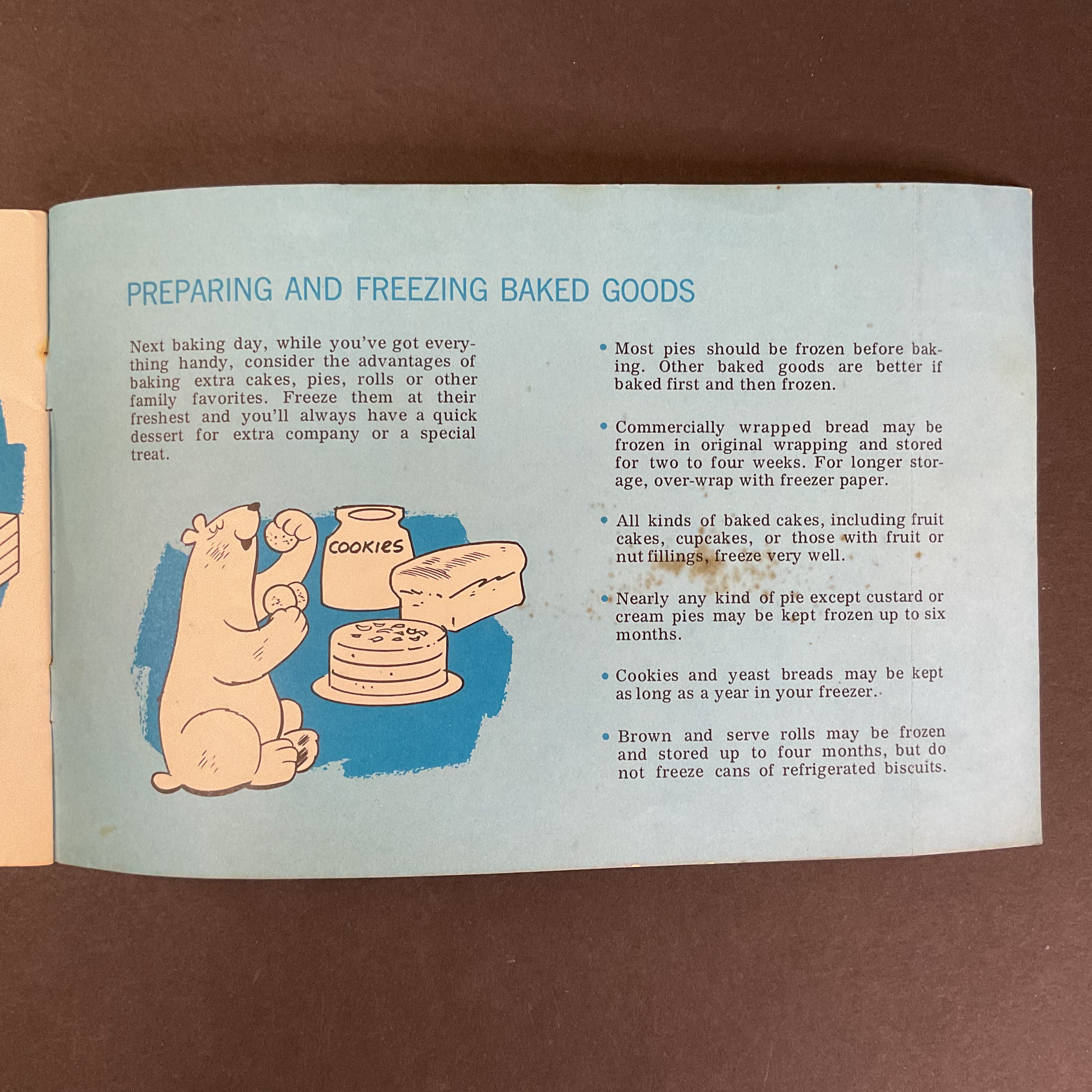 Meet Your Friend the Freezer 1950s Instruction Booklet - Avid Vintage