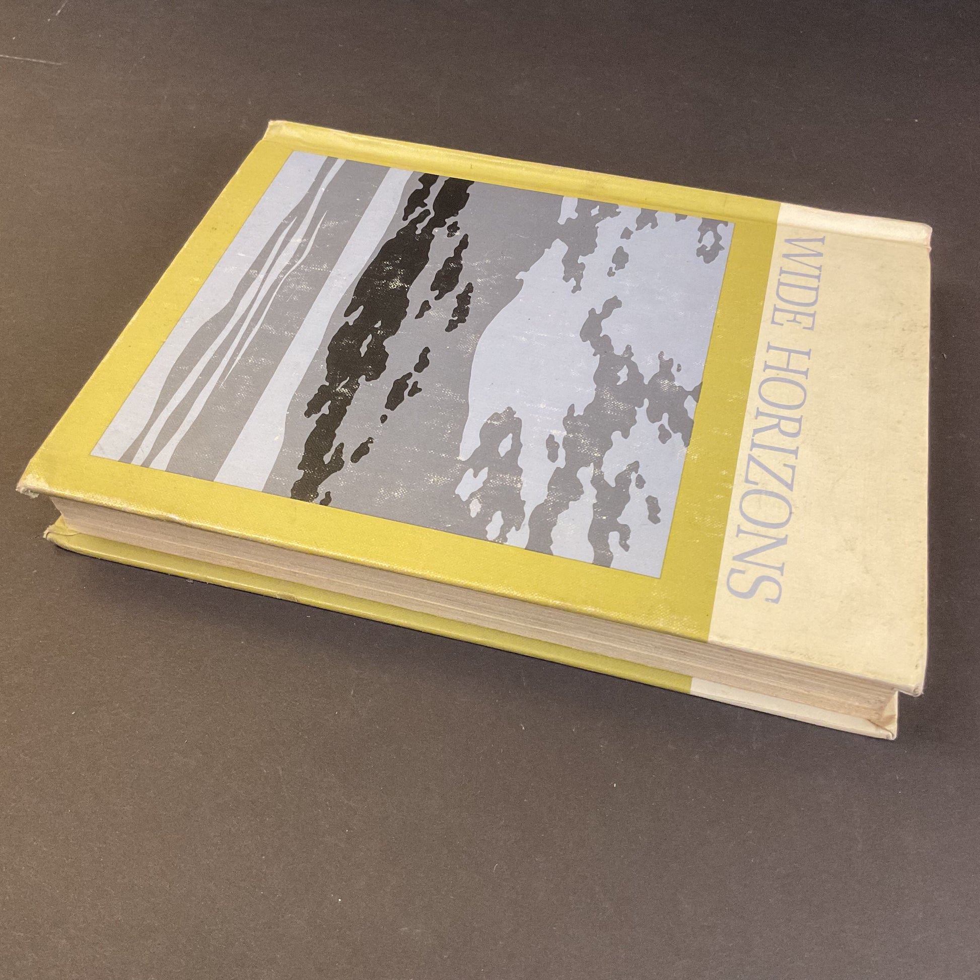 Vintage 1966 Wide Horizons Readers Book 2 Hardcover - Avid Vintage