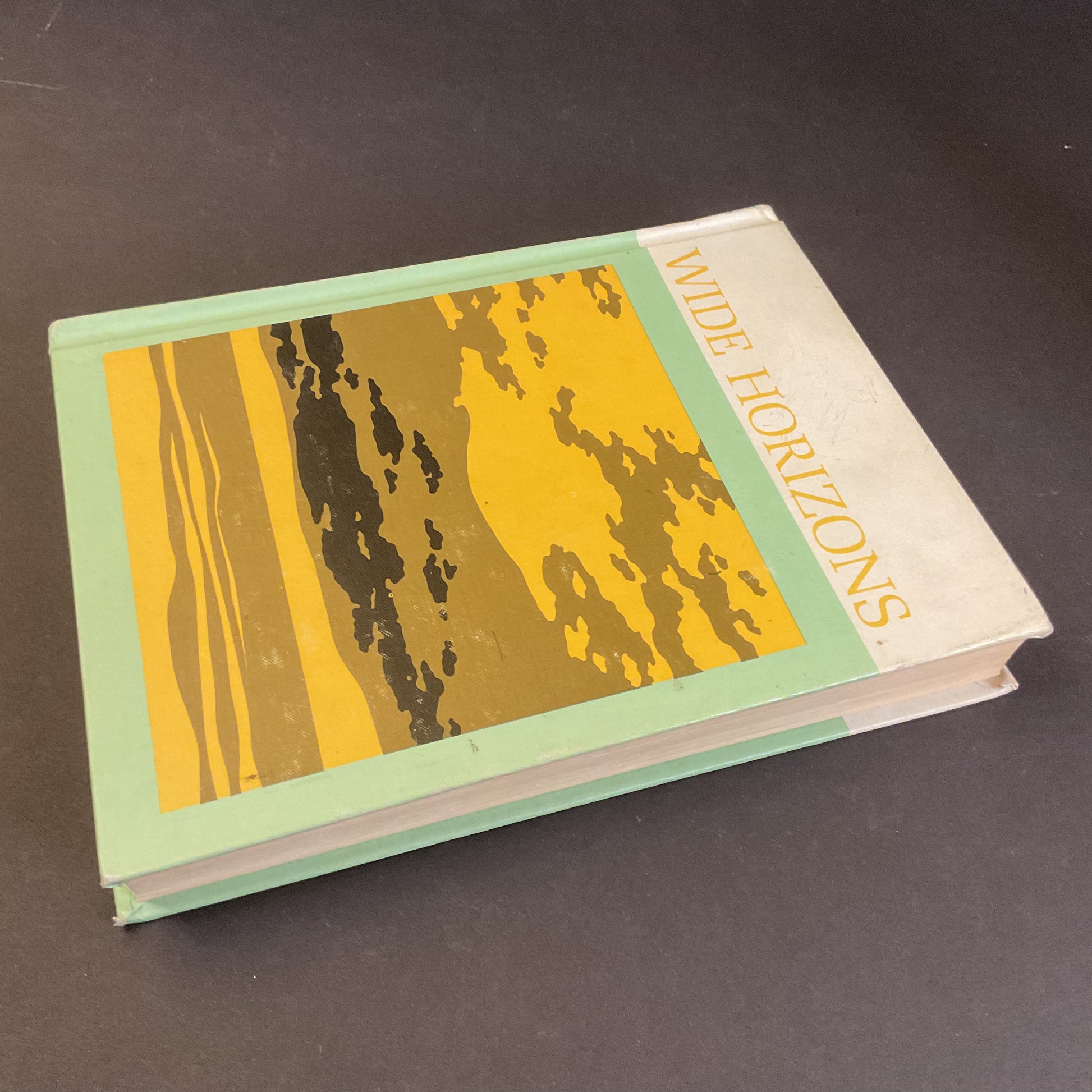 Vintage 1965 Wide Horizons Readers Book 3 Hardcover - Avid Vintage