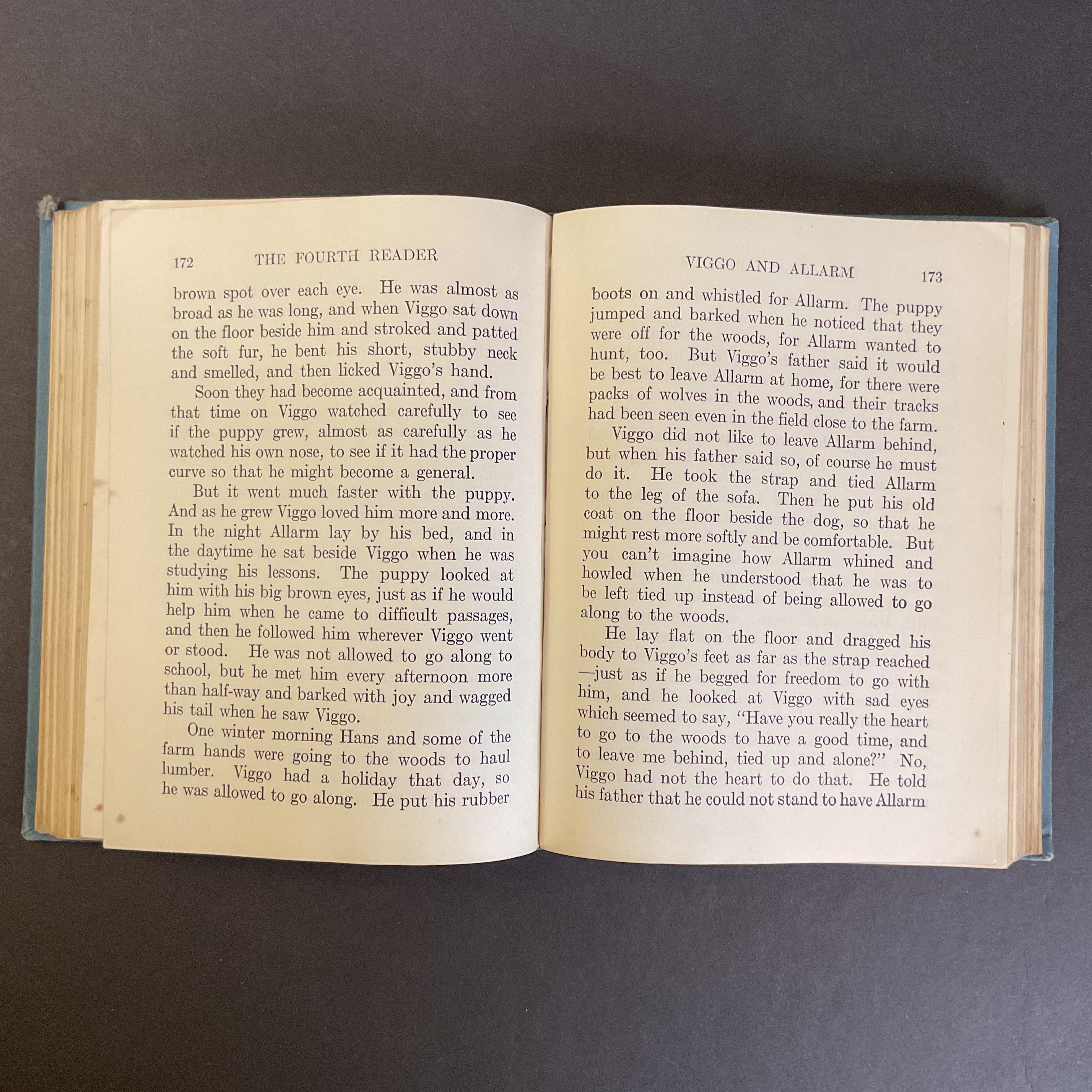 Bobbs Merrill Fourth Reader Vintage 1942 School Reading Book - Avid Vintage