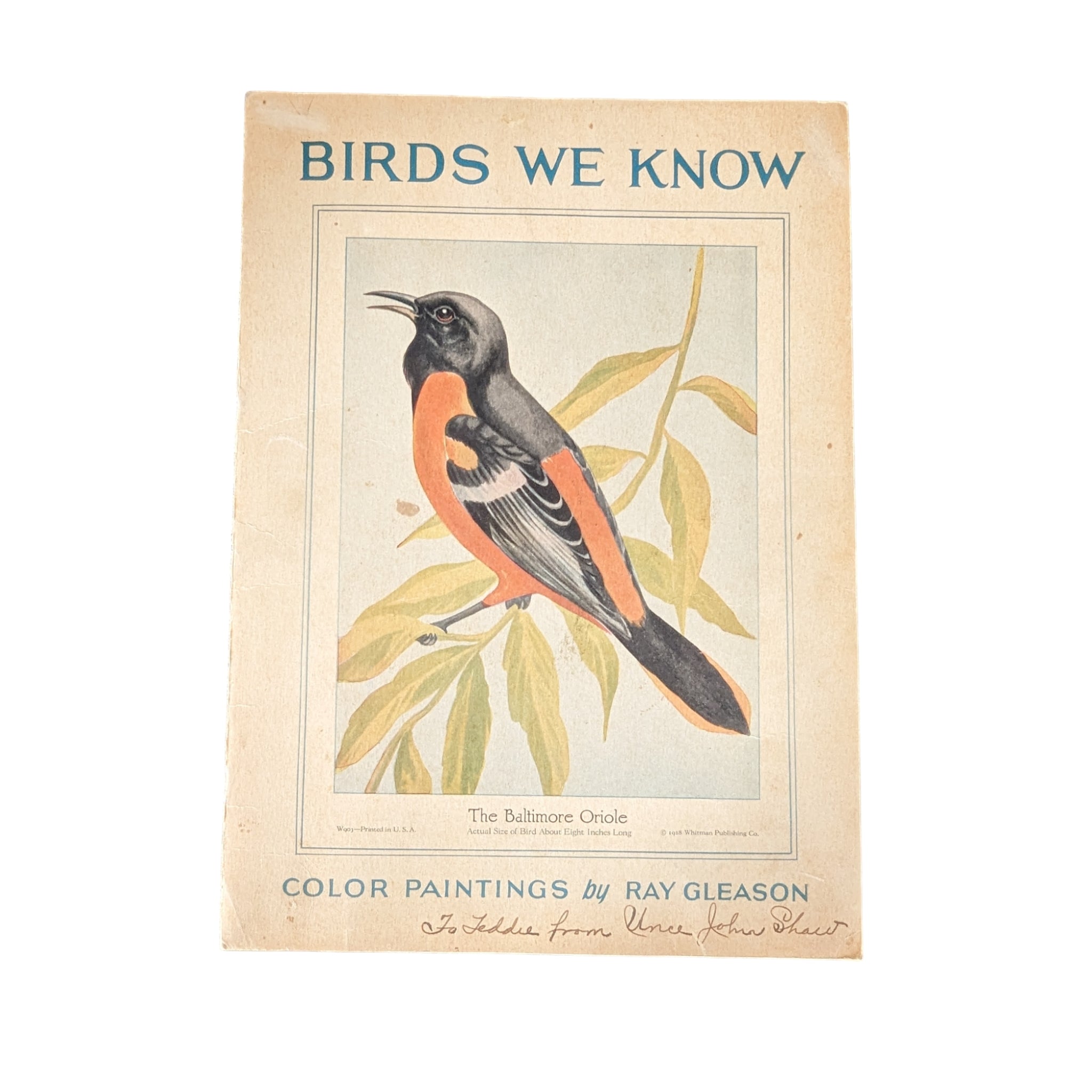 Birds We Know 1928 Book Paintings by Ray Gleason - Avid Vintage