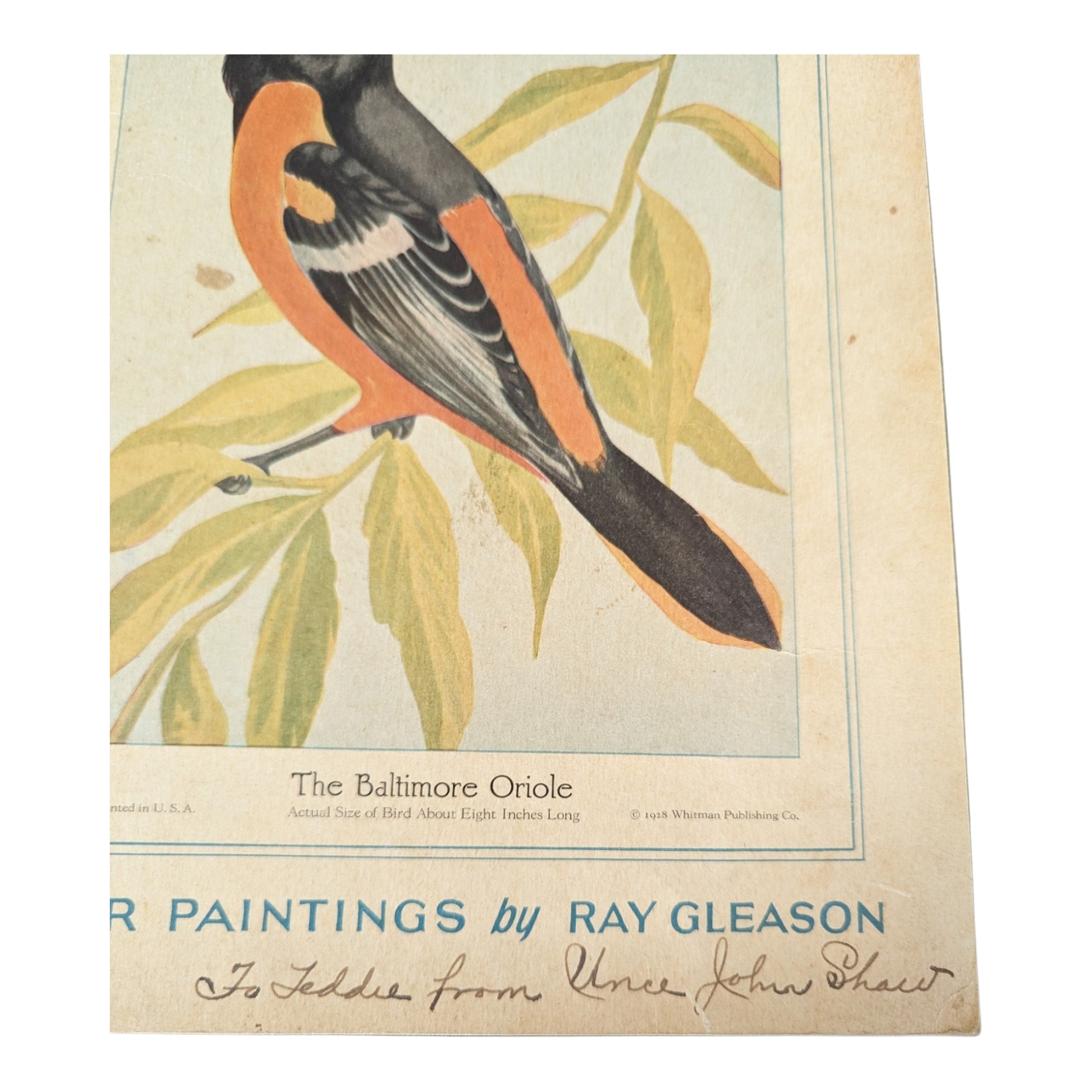 Birds We Know 1928 Book Paintings by Ray Gleason - Avid Vintage