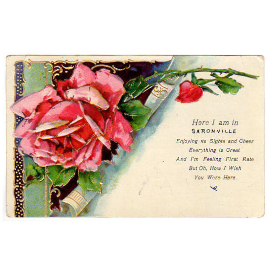 Antique 1900s Embossed Pink Rose Postcard Here I am in Saronville Nebraska - Avid Vintage