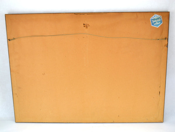 1950 Scottish Rite Lincoln Nebraska Masonic Framed Photograph with Member Names - Avid Vintage