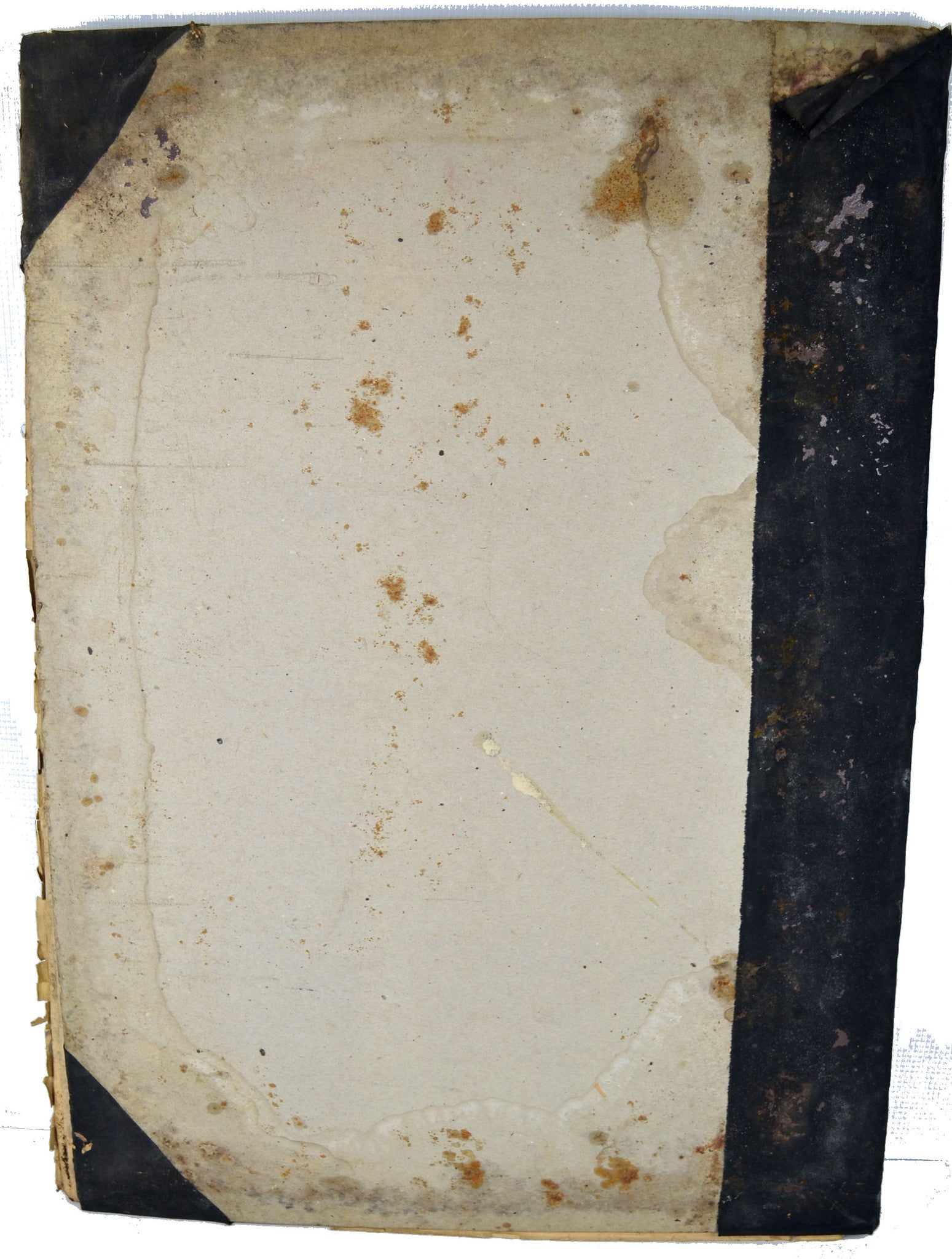 Avid Vintage Vintage collectibles