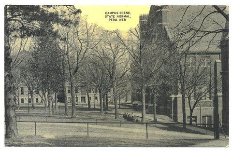 Vintage Postcard 1910s Peru Nebraska College Campus Scene State Normal School - Avid Vintage