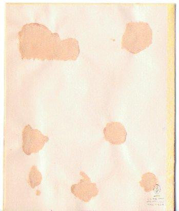 Vintage 1940s Embossed Christmas Card Stars Orange Ribbon and Mistletoe - Avid Vintage