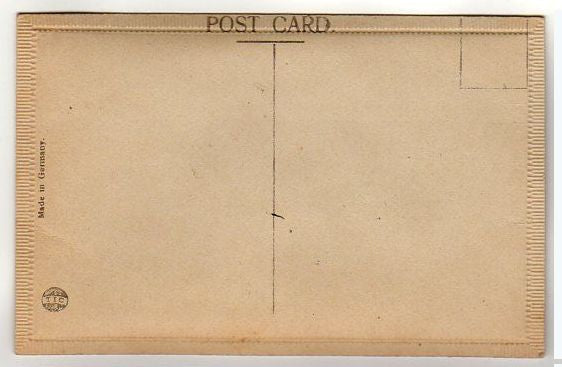 Antique Birthday Postcard Highly Embossed Envelope Velvet Background