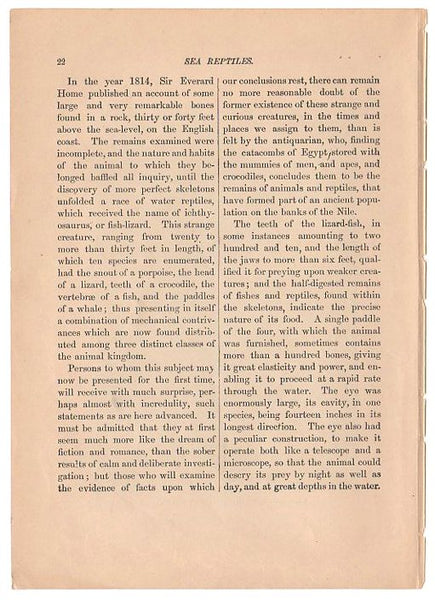 Antique Black and White Print Antediluvian Crocodile Illustration