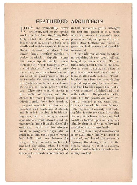 Antique Black and White Bird Nests Print 1897