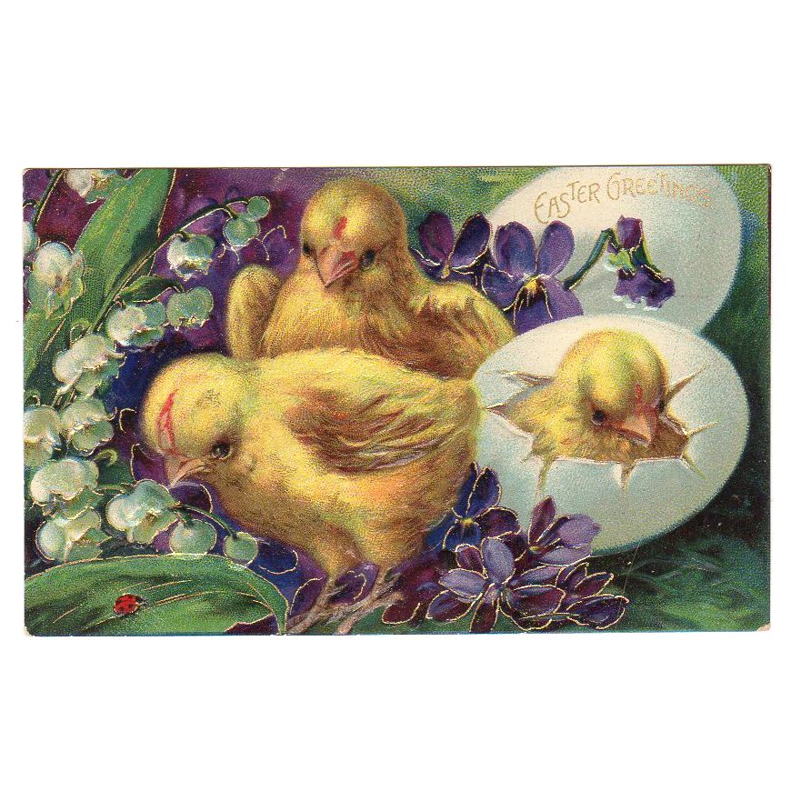 Antique Easter Postcard Chicks Hatching From Egg Lady Bug Embossed - Avid Vintage
