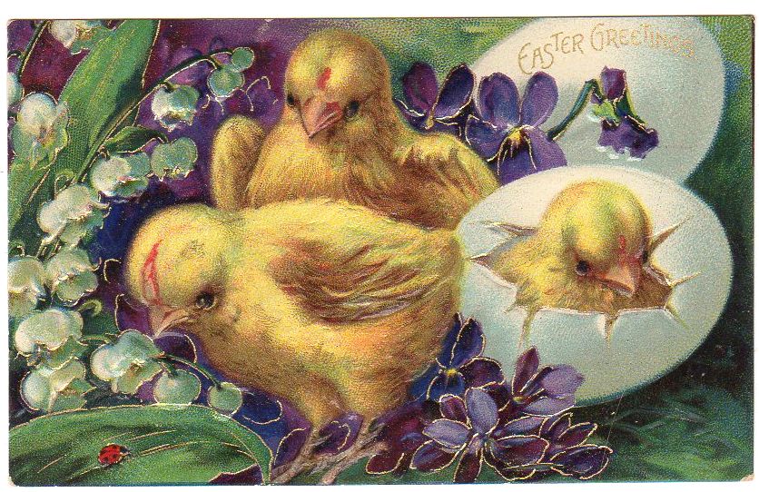 Antique Easter Postcard Chicks Hatching From Egg Lady Bug Embossed - Avid Vintage