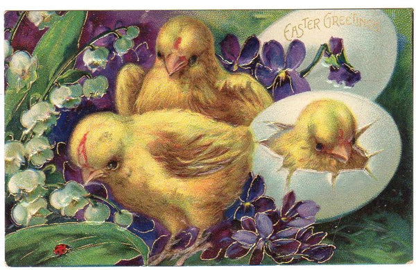 Antique Easter Postcard Chicks Hatching From Egg Lady Bug Embossed - Avid Vintage