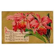 Antique Friendship Postcard Pope Quote Pink Jonquils Unused - Avid Vintage