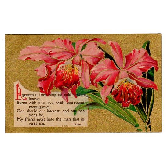 Antique Friendship Postcard Pope Quote Pink Jonquils Unused