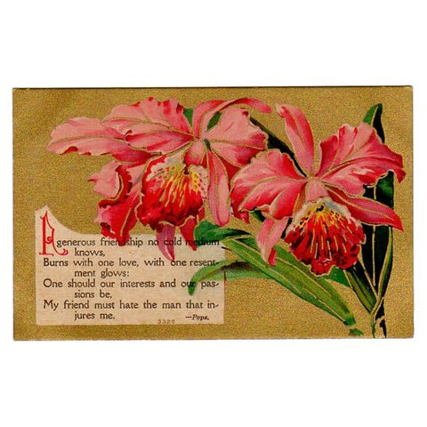 Antique Friendship Postcard Pope Quote Pink Jonquils Unused