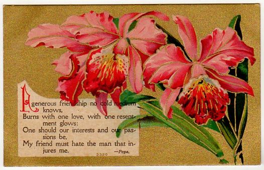 Antique Friendship Postcard Pope Quote Pink Jonquils Unused