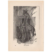 Antique Print The Giraffes Black and White Illustration