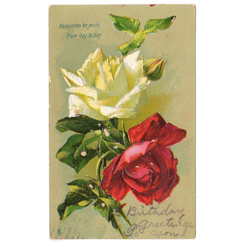 Antique Raphael Tuck Embossed Birthday Postcard Red and White Rose - Avid Vintage