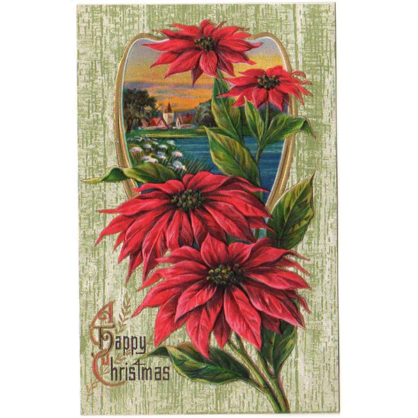 Antique Christmas Postcard Embossed Water Scene Red Poinsettia Unused - Avid Vintage