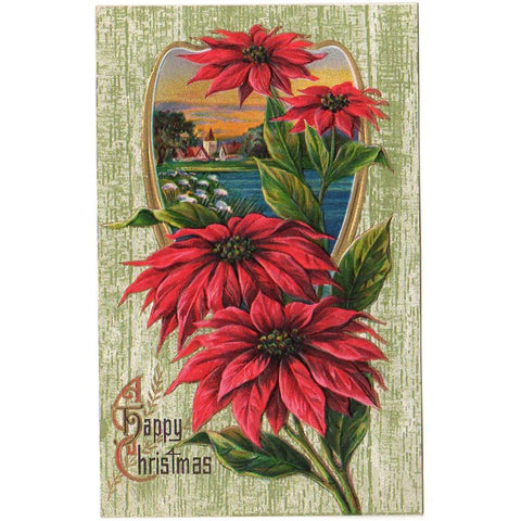 Antique Christmas Postcard Embossed Water Scene Red Poinsettia Unused - Avid Vintage