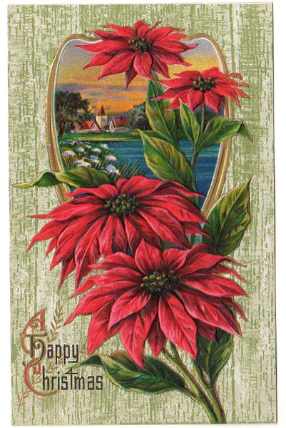 Antique Christmas Postcard Embossed Water Scene Red Poinsettia Unused - Avid Vintage