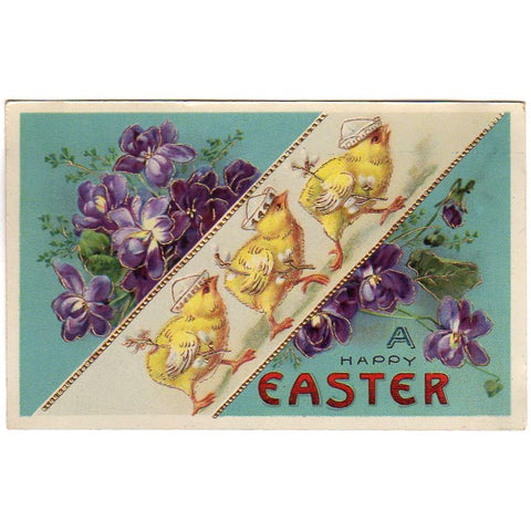 Antique Easter Postcard Anthropomorphic Chicks in Hats Violet Flowers - Avid Vintage