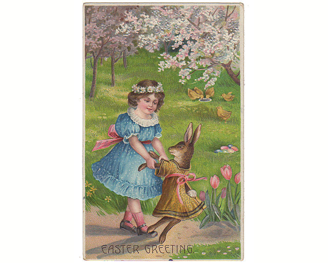 Bunny Rabbit Vintage Postcards