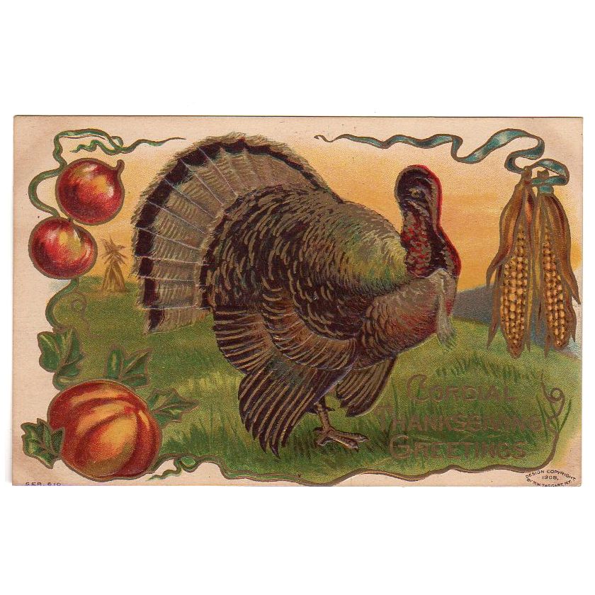 Antique Postcard Taggart Cordial Thanksgiving Greetings Turkey Unused - Avid Vintage