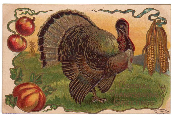 Antique Postcard Taggart Cordial Thanksgiving Greetings Turkey Unused - Avid Vintage