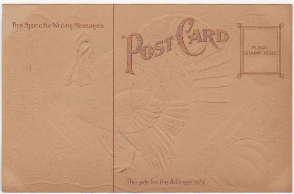 Antique Postcard Taggart Cordial Thanksgiving Greetings Turkey Unused - Avid Vintage