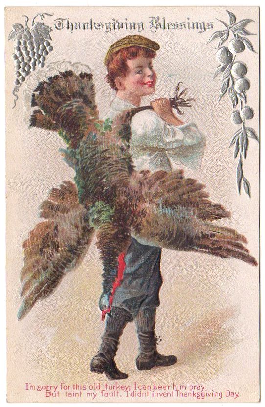 Antique Thanksgiving Day Postcard Boy Carrying Turkey Over Shoulder Unused - Avid Vintage