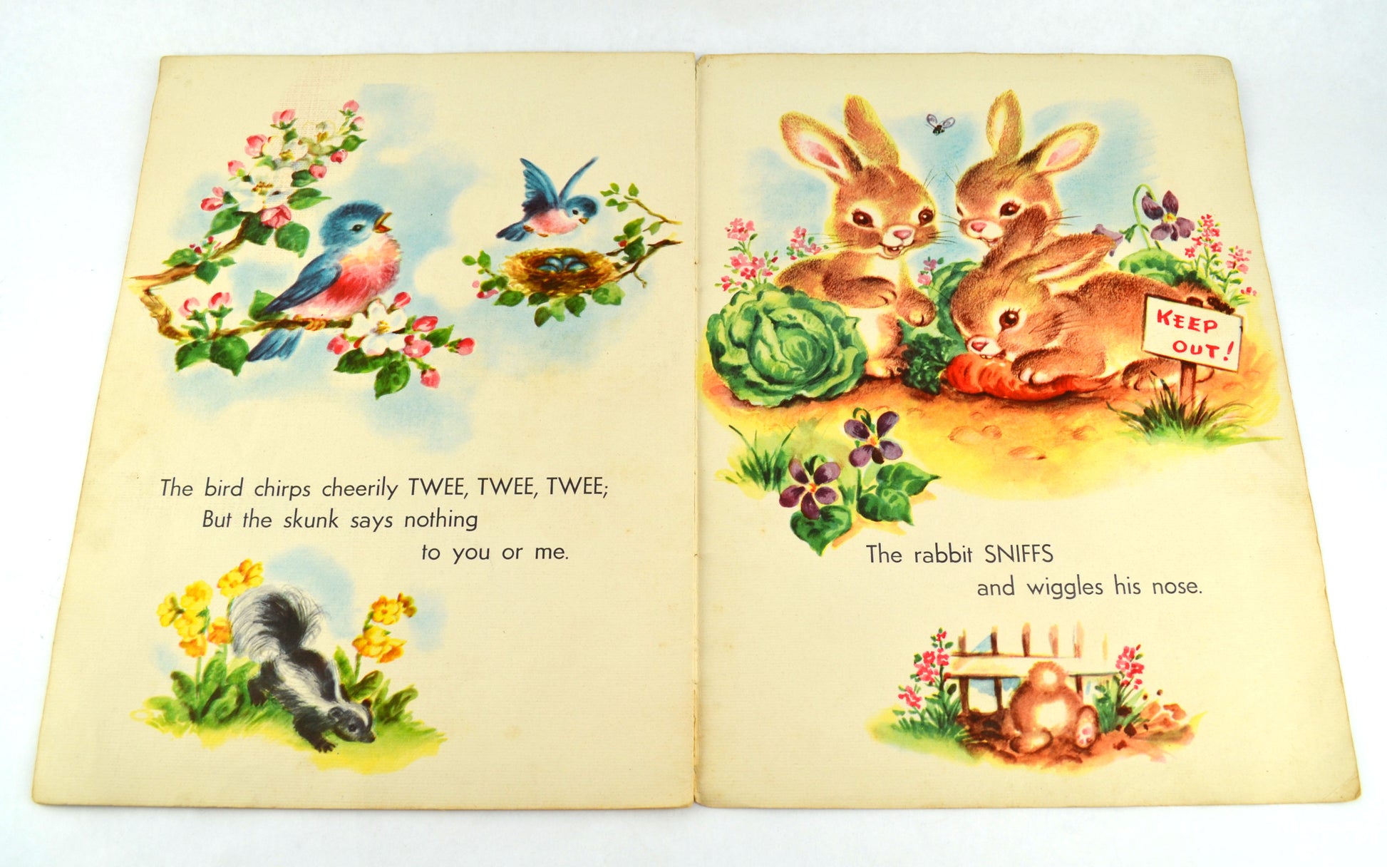 Barnyard Babies Vintage 1948 Childrens Book 1121 Samuel Lowe Company - Avid Vintage