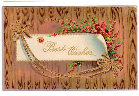 Vintage 1910s Best Wishes Postcard Gold Ribbons Wood Background Ladybug - Avid Vintage