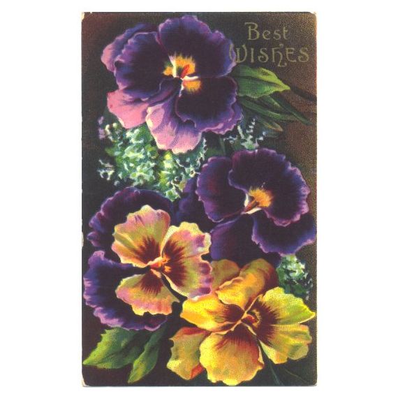 Vintage 1910s Pansy Greetings Postcard Best Wishes Purple and Yellow Flowers - Avid Vintage