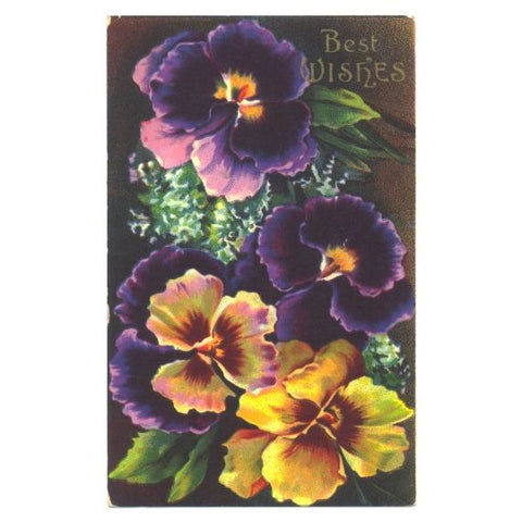 Vintage 1910s Pansy Greetings Postcard Best Wishes Purple and Yellow Flowers - Avid Vintage