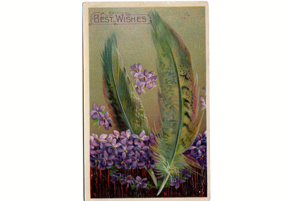 Vintage Victorian Postcard Best Wishes Green Feathers Purple Violets - Avid Vintage