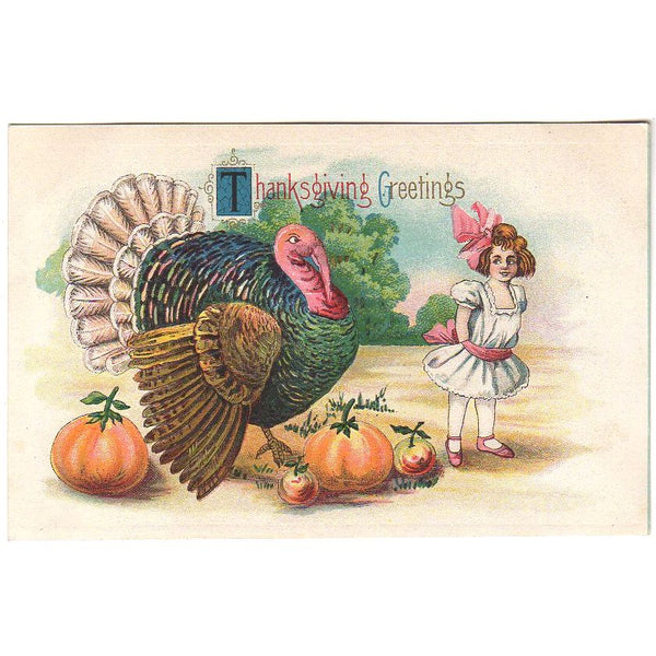 Big Turkey Little Girl and Pumpkins Antique 1910s Thanksgiving Day Postcard - Avid Vintage