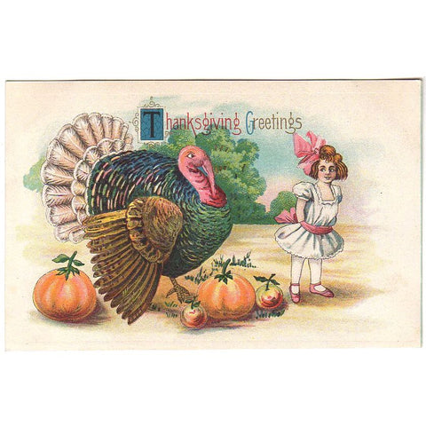 Big Turkey Little Girl and Pumpkins Antique 1910s Thanksgiving Day Postcard - Avid Vintage