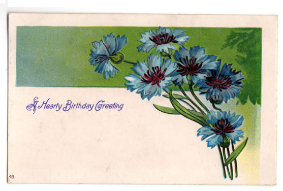 Blue Cornflower Antique Birthday Greetings 1910s Embossed Postcard - Avid Vintage