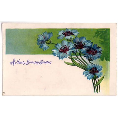 Blue Cornflower Antique Birthday Greetings 1910s Embossed Postcard - Avid Vintage